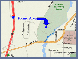 balloonpicnic